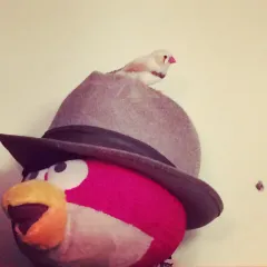 LKU