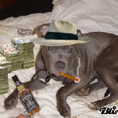 ThePitbull