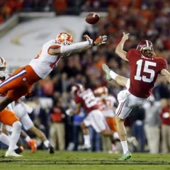 The_Punter
