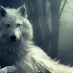 Wolfsnow