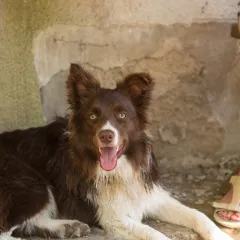 Yuki