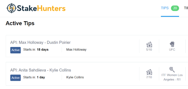 How to use StakeHunters predictions site