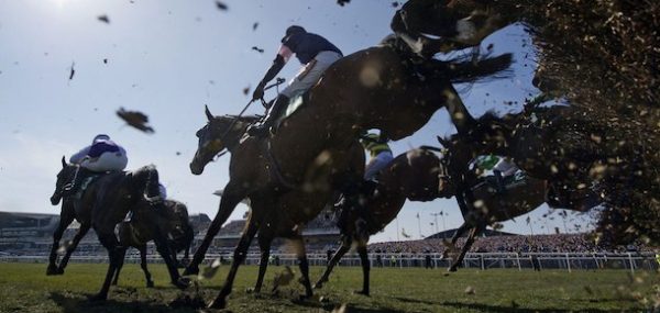Bet Win or Each Way in Horse Racing?