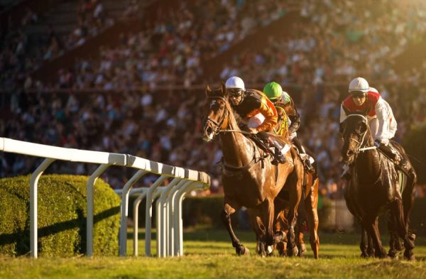 6 Tips For Having A Great Melbourne Cup Day