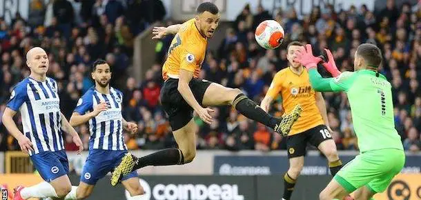 Brighton vs Wolves on January 22 2024 Prediction