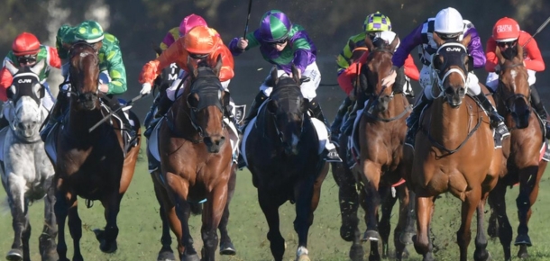 Five Reasons Horses Have a Better Chance than Recent Form Suggests