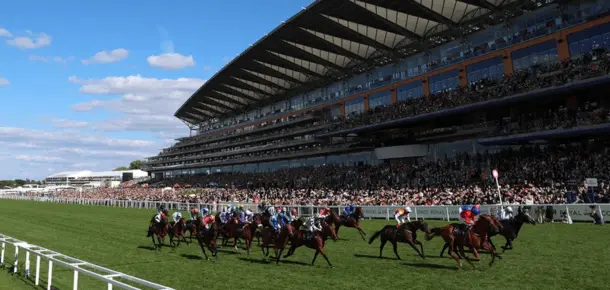look-at-the-horse-racing-course look-at-the-horse-racing-course