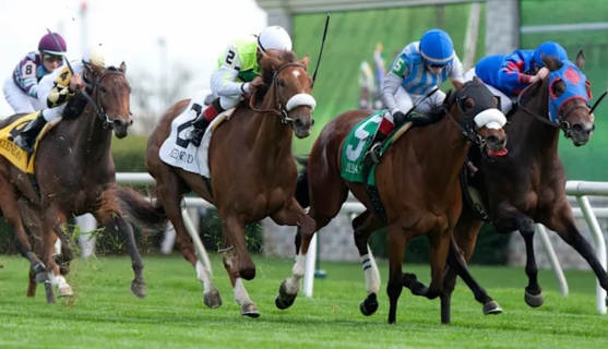 Bet Win or Bet Each Way in Horse Racing